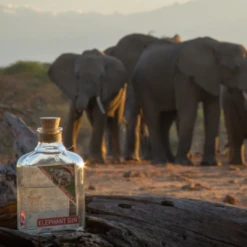 Elephant Gin London Dry 500ml 7 Elephant Gin London Dry 500ml -Savanna Foods Shop 7 0e28b957 b59b 4568 9b3a aa47b26840b8
