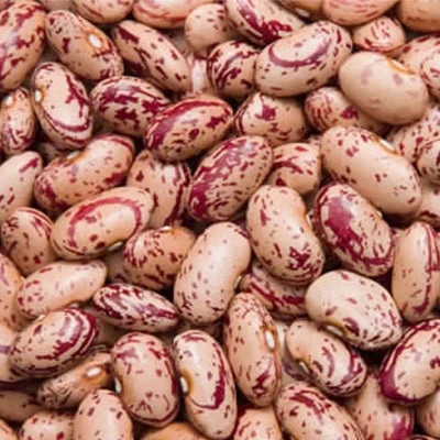 Honde Valley Sugar Beans 500g 3 Honde Valley Sugar Beans 500g